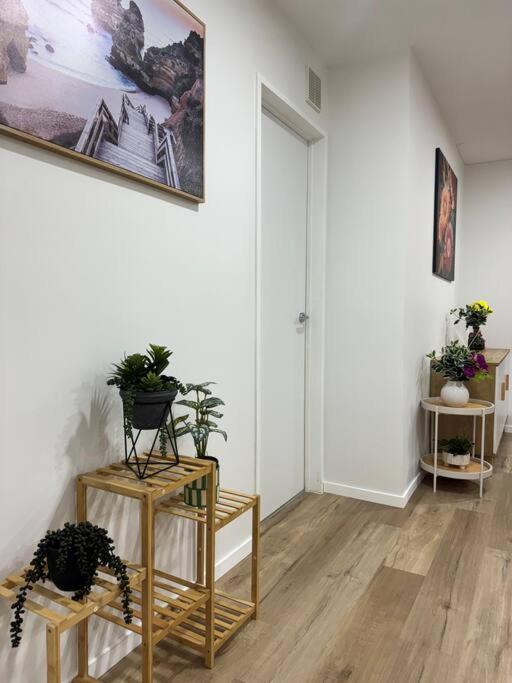 Stunning 3 Bd - 2 Bth City Apt - Pool & Carpark 奥克兰 外观 照片