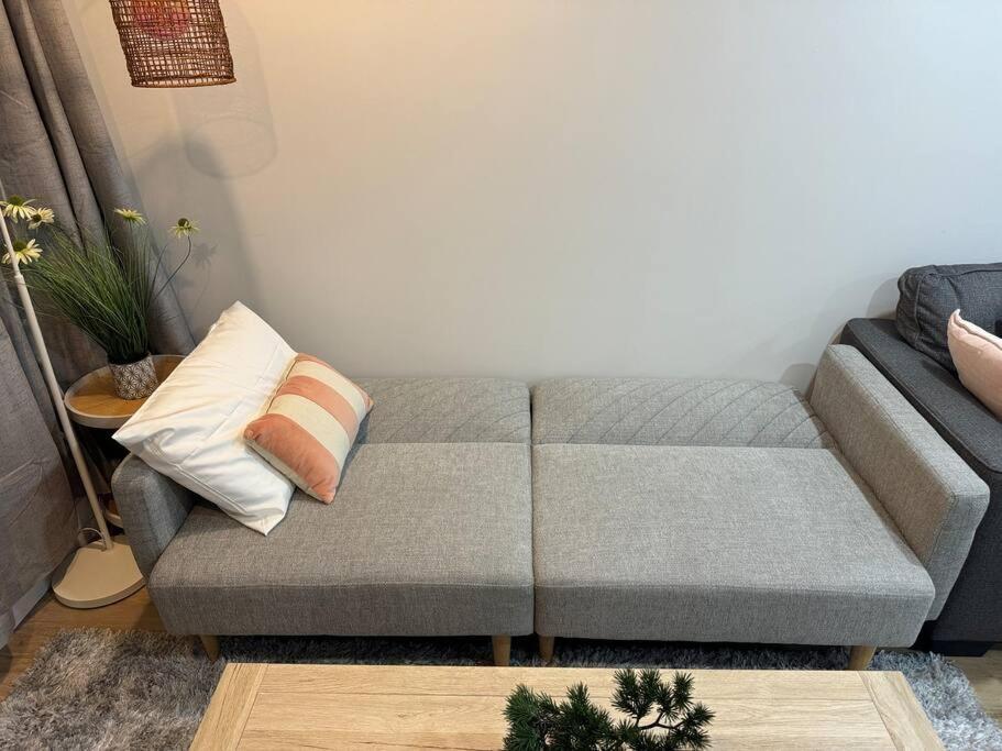 Stunning 3 Bd - 2 Bth City Apt - Pool & Carpark 奥克兰 外观 照片