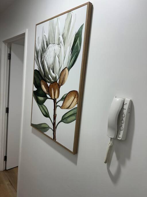 Stunning 3 Bd - 2 Bth City Apt - Pool & Carpark 奥克兰 外观 照片