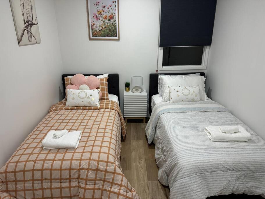 Stunning 3 Bd - 2 Bth City Apt - Pool & Carpark 奥克兰 外观 照片